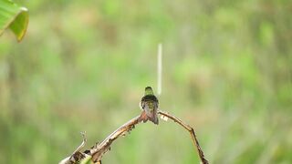 Listen to this peaceful mind relaxing whilst watching sound .Rain sound.