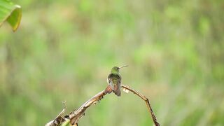 Listen to this peaceful mind relaxing whilst watching sound .Rain sound.