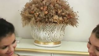 Big Boob Lesbians Please Each Other with Toys and More