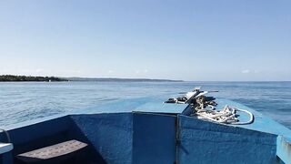 I WENT TO A NUDIST RESORT SOLO - Public Twerking & Flashing @ Hedonism II