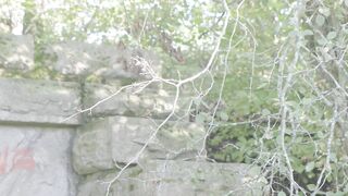 IT Pennywise avid spitty oral sex mind screw in public tunnel - Trailer