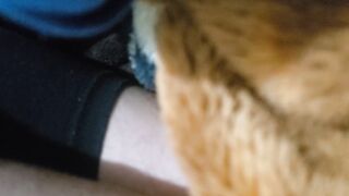 PAREJA LATIN BABE ROMANTICA EN LEGGINS