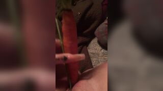 Carrot in twat