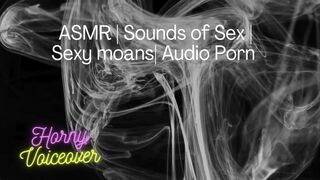 Audio Merely: Screw me hard! Poke my legs apart and cum inside me!