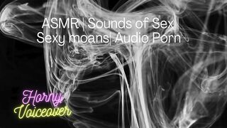 Audio Merely: Screw me hard! Poke my legs apart and cum inside me!
