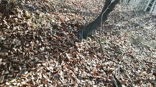 I banged a tourist guide with an AWESOME BOOTY in public and cum on THAT BUTT very fast!!