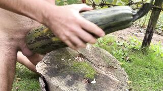 Ich ficke meine riesige Halloween-Zucchini und komme darauf