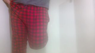 Piddled on the computer