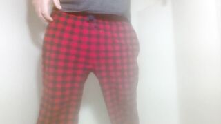 Piddled on the computer