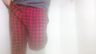 Piddled on the computer