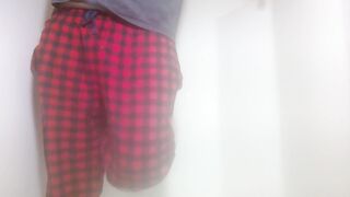 Piddled on the computer