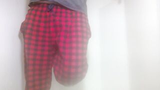 Piddled on the computer