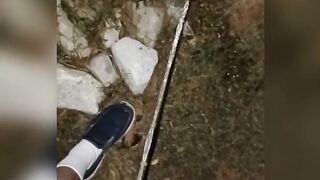 Pee Compilation 8 Vids