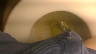 Pissing boxers on the lavatory