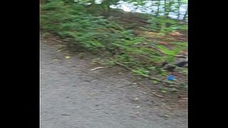 Exhibition in Stuttgart