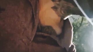 I took a chance and masturbated next to a gorgeous redhead at the bus stop.