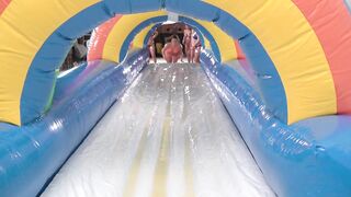 I saw, I conquered, but I not ever came