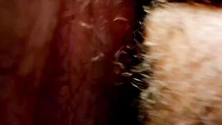 Amazone und Anaconda