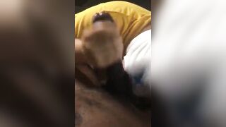 Who needs their shlong sucked?