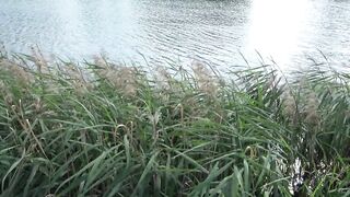PUBLIC ON A BENCH. A SUNNY DAY A CUTE TWAT