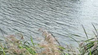 PUBLIC ON A BENCH. A SUNNY DAY A CUTE TWAT