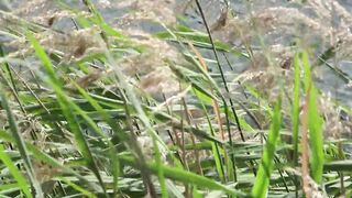 PUBLIC ON A BENCH. A SUNNY DAY A CUTE TWAT