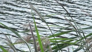 PUBLIC ON A BENCH. A SUNNY DAY A CUTE TWAT