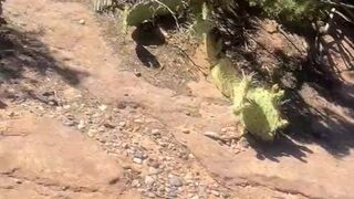 Flashing Adventure Mountains in Kyrgyzstan Journey Part 9 — Full movie in profile