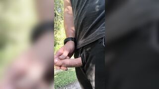 Spunk flow in the midst of the forrest