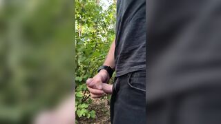 Spunk flow in the midst of the forrest