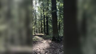 Spunk flow in the midst of the forrest