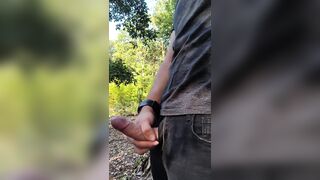 Spunk flow in the midst of the forrest