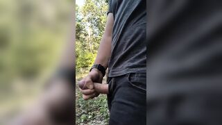 Spunk flow in the midst of the forrest