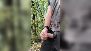 Spunk flow in the midst of the forrest