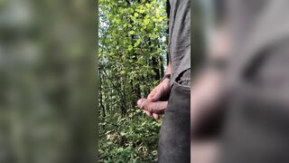 Spunk flow in the midst of the forrest