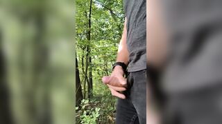 Spunk flow in the midst of the forrest