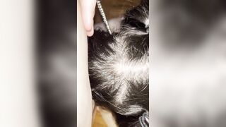 Lesbo Fellatio on Belt-on