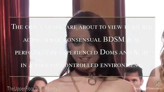 Brunch Sex Serf Party