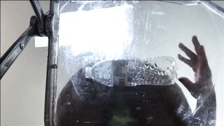 dominant-bitch mxdominion