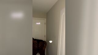 Looking for a co-performer text me