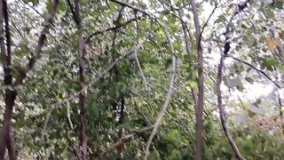 Beauties wank in the forest