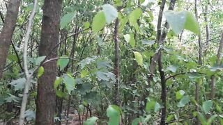 I stroke in a public park