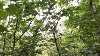 I stroke in a public park