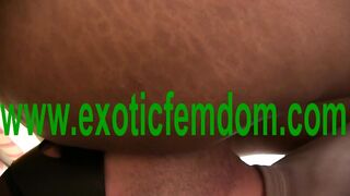 chair for black mastix