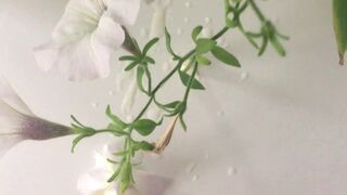 Cum on a ally's mother's flowers