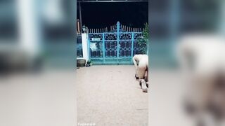 Thai homosexual thrall FagTeetajet