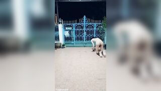 Thai homosexual thrall FagTeetajet