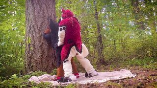 The Dog Days of Summer