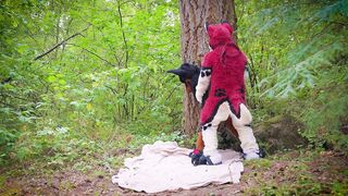 The Dog Days of Summer