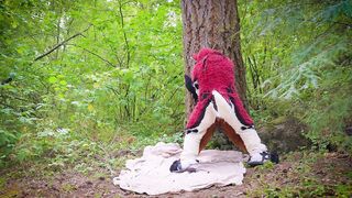 The Dog Days of Summer